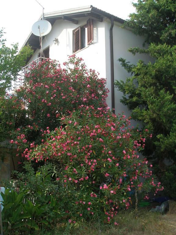 Apartment Lana Privlaka  Dış mekan fotoğraf