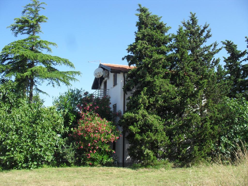 Apartment Lana Privlaka  Dış mekan fotoğraf