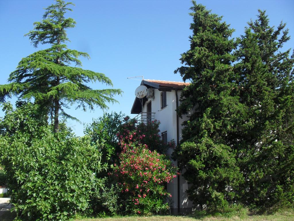Apartment Lana Privlaka  Dış mekan fotoğraf